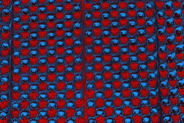 Soyut renk dokusu, grunge arkaplanı, boşluk duvar kağıdını kopyala