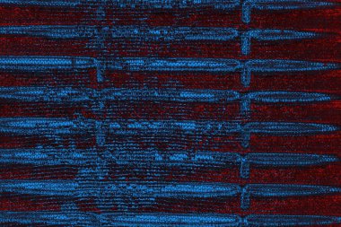 soyut mavi ve kırmızı doku, grunge arkaplan, boşluk duvar kağıdını kopyala