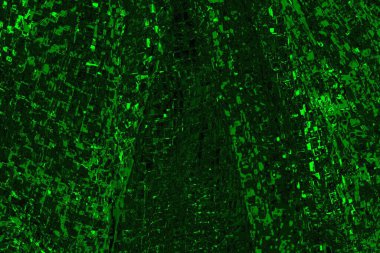 Soyut renk dokusu, grunge arkaplanı, boşluk duvar kağıdını kopyala