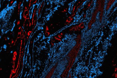 soyut mavi ve kırmızı doku, grunge arkaplan, boşluk duvar kağıdını kopyala