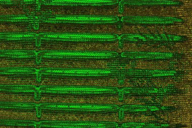 Soyut renk dokusu, grunge arkaplanı, boşluk duvar kağıdını kopyala