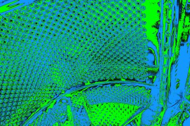 soyut yeşil doku, arkaplan, duvar kağıdını kopyala