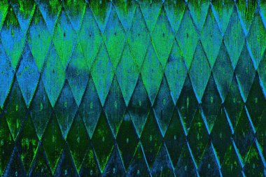 Boşluk duvar kağıdını, grunge arkaplanını, soyut renkli doku arkaplanını kopyala