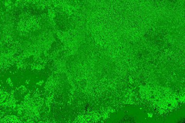 yeşil doku arkaplanı, boşluk duvar kağıdını kopyala