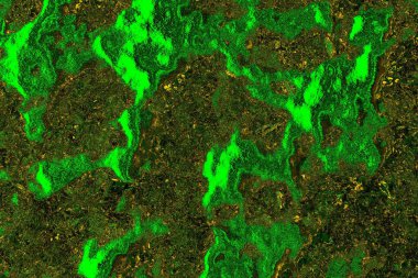 soyut yeşil doku arkaplanı, boşluk duvar kağıdını kopyala