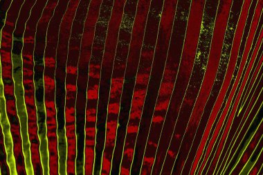 soyut renkli doku arkaplanı, uzay duvar kağıdını kopyala