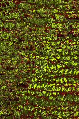 Soyut pejmürde bir doku. Asit grunge arkaplanı, metin veya reklamınız için boşluk resmini kopyala