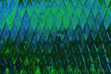 Boşluk duvar kağıdını, grunge arkaplanını, soyut renkli doku arkaplanını kopyala