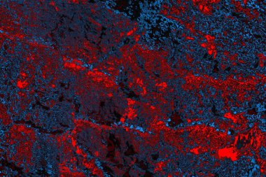 soyut mavi ve kırmızı doku, grunge arkaplan, boşluk duvar kağıdını kopyala