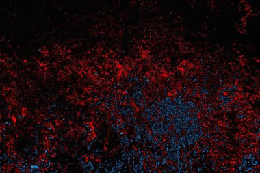 soyut mavi ve kırmızı doku, grunge arkaplan, boşluk duvar kağıdını kopyala