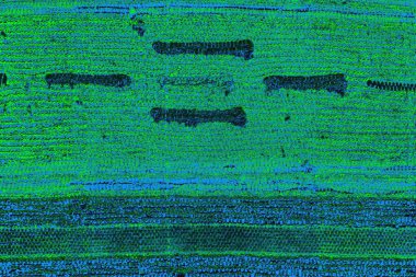 Boşluk duvar kağıdını, grunge arkaplanını, soyut renkli doku arkaplanını kopyala