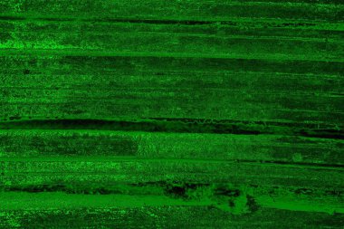 soyut yeşil doku arkaplanı, boşluk duvar kağıdını kopyala
