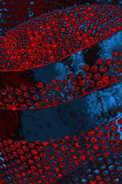 soyut mavi ve kırmızı doku, grunge arkaplan, boşluk duvar kağıdını kopyala