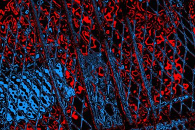 soyut mavi ve kırmızı doku, grunge arkaplan, boşluk duvar kağıdını kopyala