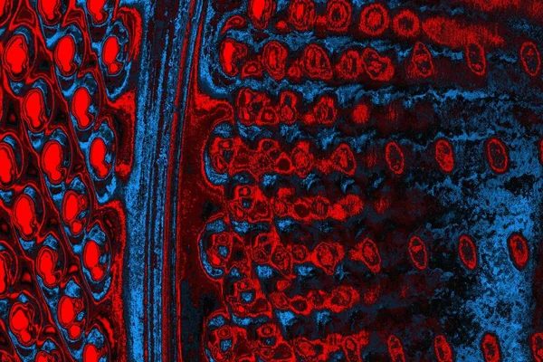 soyut mavi ve kırmızı doku, grunge arkaplan, boşluk duvar kağıdını kopyala