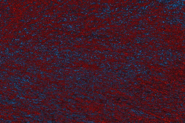 soyut mavi ve kırmızı doku, grunge arkaplan, boşluk duvar kağıdını kopyala