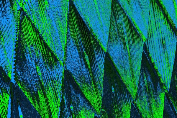 Boşluk duvar kağıdını, grunge arkaplanını, soyut renkli doku arkaplanını kopyala