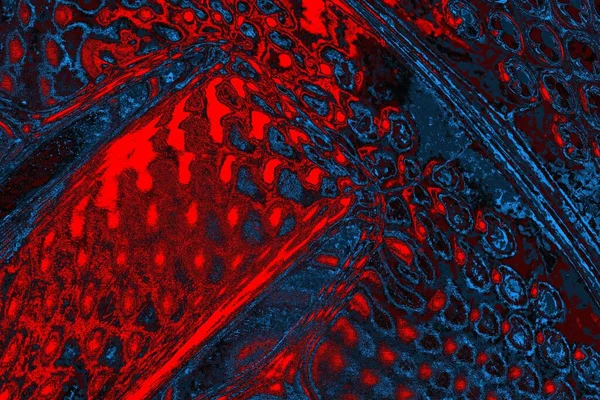 soyut mavi ve kırmızı doku, grunge arkaplan, boşluk duvar kağıdını kopyala