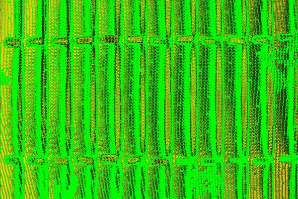 soyut yeşil doku arkaplanı, boşluk duvar kağıdını kopyala