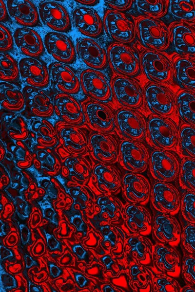 soyut mavi ve kırmızı doku, grunge arkaplan, boşluk duvar kağıdını kopyala