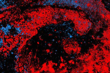 parlak kırmızı doku arkaplanı, boşluk duvar kağıdını kopyala