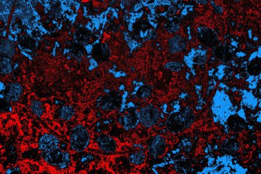 soyut mavi ve kırmızı doku, grunge arkaplan, boşluk duvar kağıdını kopyala