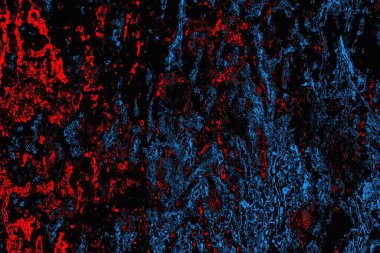 soyut mavi ve kırmızı doku, grunge arkaplan, boşluk duvar kağıdını kopyala