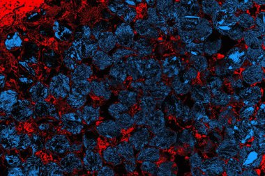 soyut mavi ve kırmızı doku, grunge arkaplan, boşluk duvar kağıdını kopyala