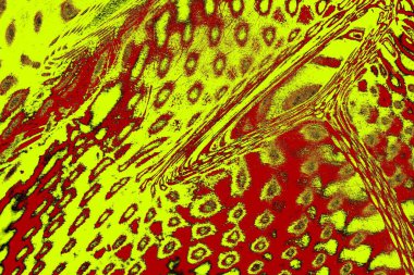 Soyut pejmürde bir doku. Asit grunge arkaplanı, metin veya reklamınız için boşluk resmini kopyala