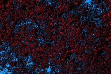 soyut mavi ve kırmızı doku, grunge arkaplan, boşluk duvar kağıdını kopyala