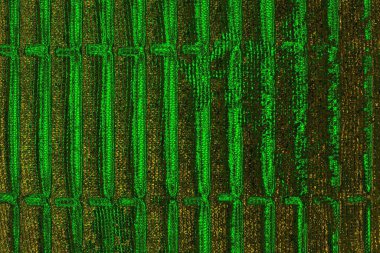 Soyut renk dokusu, grunge arkaplanı, boşluk duvar kağıdını kopyala