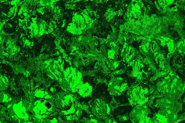 soyut yeşil doku arkaplanı, boşluk duvar kağıdını kopyala