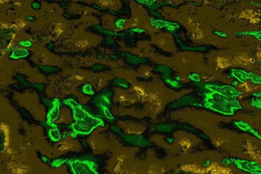 soyut yeşil doku arkaplanı, boşluk duvar kağıdını kopyala