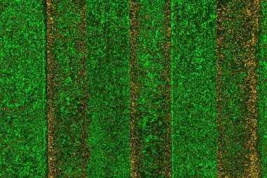 soyut yeşil doku arkaplanı, boşluk duvar kağıdını kopyala