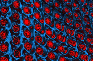 soyut mavi ve kırmızı doku, grunge arkaplan, boşluk duvar kağıdını kopyala