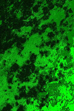 soyut yeşil arkaplan, boşluk duvar kağıdını kopyala