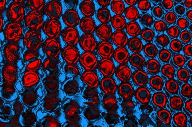 soyut mavi ve kırmızı doku, grunge arkaplan, boşluk duvar kağıdını kopyala