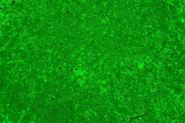soyut yeşil doku arkaplanı, boşluk duvar kağıdını kopyala