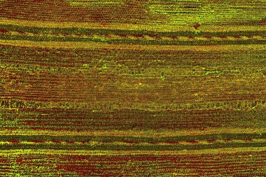 Boşluk duvar kağıdını, grunge arkaplanını, soyut renkli doku arkaplanını kopyala