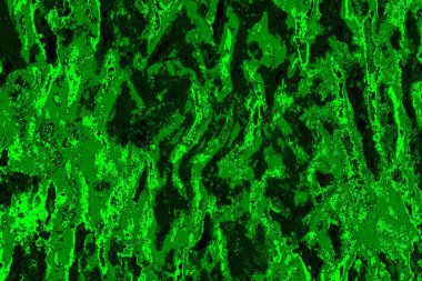 soyut yeşil doku arkaplanı, boşluk duvar kağıdını kopyala