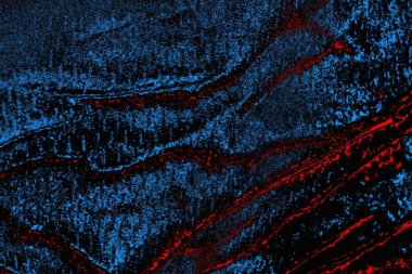 soyut mavi ve kırmızı doku, grunge arkaplan, boşluk duvar kağıdını kopyala