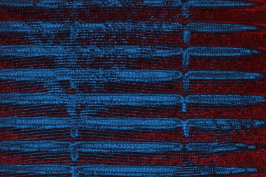 soyut mavi ve kırmızı doku, grunge arkaplan, boşluk duvar kağıdını kopyala