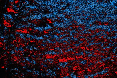 soyut mavi ve kırmızı doku, grunge arkaplan, boşluk duvar kağıdını kopyala