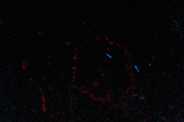 soyut mavi ve kırmızı doku, grunge arkaplan, boşluk duvar kağıdını kopyala