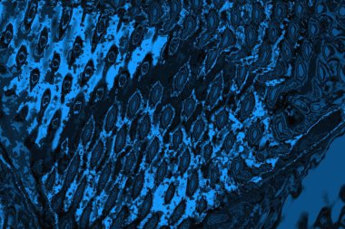 soyut doku, grunge arkaplan, boşluk duvar kağıdını kopyala      