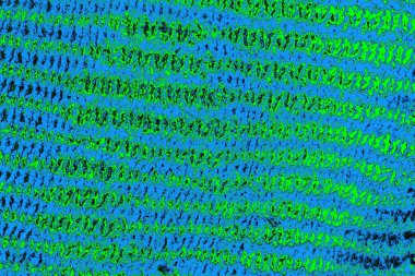 Boşluk duvar kağıdını, grunge arkaplanını, soyut renkli doku arkaplanını kopyala