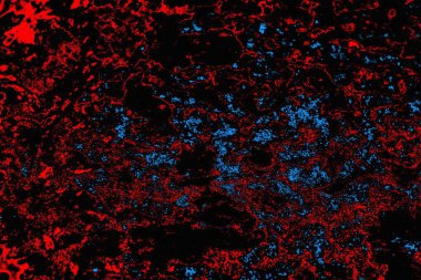 soyut mavi ve kırmızı doku, grunge arkaplan, boşluk duvar kağıdını kopyala