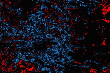 soyut mavi ve kırmızı doku, grunge arkaplan, boşluk duvar kağıdını kopyala