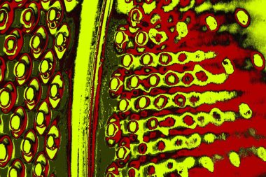 Soyut pejmürde bir doku. Asit grunge arkaplanı, metin veya reklamınız için boşluk resmini kopyala