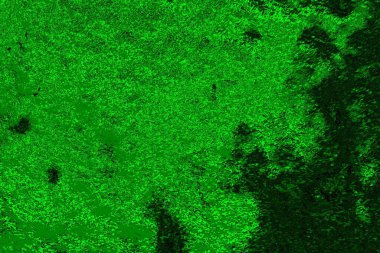 soyut yeşil doku arkaplanı, boşluk duvar kağıdını kopyala